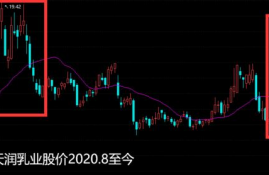 stx币牛市属于什么水平级别