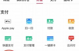 中国银行app数字钱包密码更改在哪里找(中国银行手机银行数字钱包)