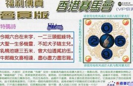 2023年香港马会资料