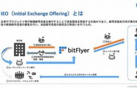 数字货币的ieo是什么意思(数字货币ico)