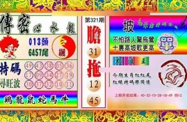 香港澳门彩民网资料(香港澳门的资料介绍)