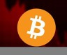 btc从加密钱包中加速流出