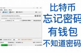 31个btc忘记密码钱包dat(31个btc忘记密码钱包)