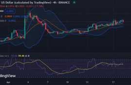 dogecoin币今日价格行情分析预测,狗狗币如何购买？