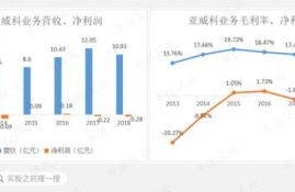 cfx币未来价值分析