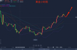 w币最新价格实时行情走势分析,W币最新价格实时行情走势分析。