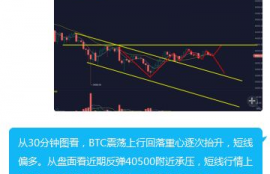 btc比特币钱包是什么类型啊,比特币钱包是什么？