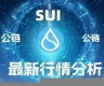 SUI兑换最新消息-SUI兑换今日行情-SUI兑换最新价格