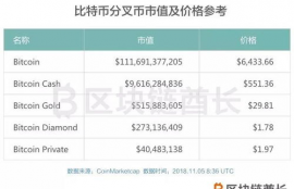 bch比特现金策略是什么类型,什么是BCH比特币现金