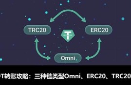 数字货币链omni是什么链(数字货币是怎么回事)