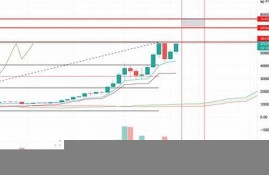 btc钱包骗局(btc钱包最新下载网址)