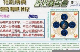 香港小财神方网站最新动态和更新(香港财神爷图片)