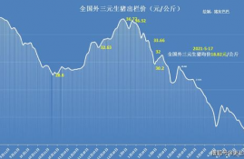 gas币最新消息今天实时