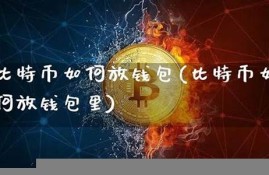 如何将比特币存在钱包里(比特币是如何存在的)