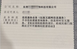 icp币的投资机构是什么公司,icp是什么币？