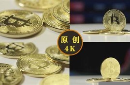 模拟支付比特币钱包(模拟支付比特币钱包在哪)