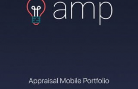 amp币种,AMP货币的概况