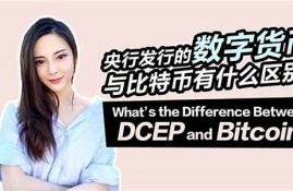 央行发行的数字货币dce p(央行推出数字货币dcep)