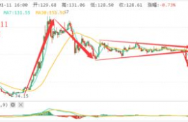 bch比特现金策略是什么指标啊,市场趋势分析