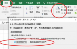 matic币中文叫什么英文全称是什么,序言:数字货币世界的新星。