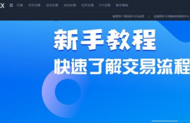 metis币上线了哪些交易所,正规usdt交易平台官网