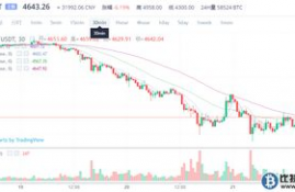 bonk币今日价格行情 币币情走势,bok币今日行情分析