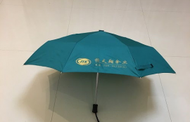 leodauknow雨伞多少钱,设计不同的LeodaUKow雨伞