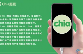 xch币价最新行情价格行情,求助，xch是什么币