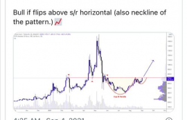 hot币会涨到多少比特现金价值,比特币投资怎么样