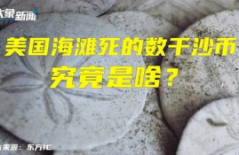 sand币前景怎么样好不好,区块链数字货币投资怎么样，有没有过来人指教