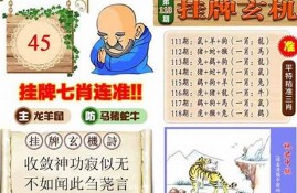 澳门研究院六合料