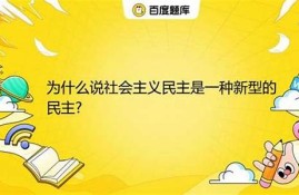 什么是一种新型的数字货币概念和特点之一