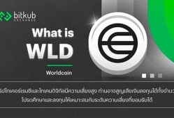 WLD热钱包最新消息-WLD热钱包今日行情-WLD热钱包最新价格