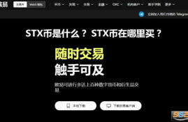 stx币种怎么样靠谱吗怎么样,大连STX怎么样