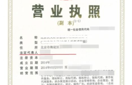 数字货币资产管理营业执照,国家颁发有亚元数字货币营业执照吗？