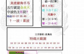 澳门码2023第138期资料是什么(澳门131期)