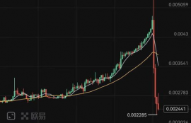 bnx币是什么币,屌丝币是什么？