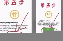 虚拟币钱包密码忘了怎样找回(虚拟币钱包密码忘了怎样找回密码)