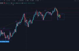 以太坊上涨后会暴跌吗,比特币暴涨以太币暴跌什么意思