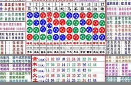 澳彩资料免费资料大全(澳彩资料图片2020年)