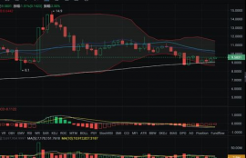 dot币行情分析,波卡dot能涨到1000吗