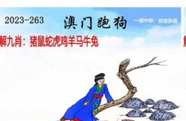 澳门跑马图2023年资料(澳门跑马图怎么看准)