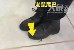 女子徒手抓老鼠尾巴反被咬伤 事件发生的背后(用手抓老鼠尾巴会不会有事)