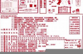 澳门118网站正版资料(澳门118网站正版资料下载)