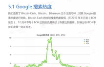 bch比特现金策略是什么类型啊,什么是BCH比特币现金