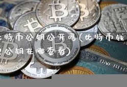 比特币公开展示钱包(比特币官方钱包)