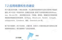 bch比特现金是什么级别的缩写,BCH是啥？最近币圈好像挺流行这个