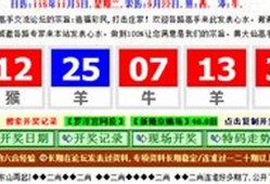 2021年澳门码今晚开奖结果记录生肖(澳门码2021年全年开奖记录)