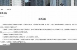 和合系公司实控人被押解回国热(合和集团董事长是什么级别)