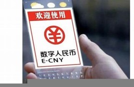 人民银行数字货币(人民银行数字货币研究所招聘)